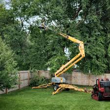 Reliable Palatine, IL Tree Care Solutions